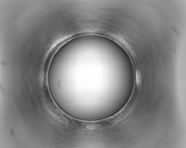X0000091230579200708091419