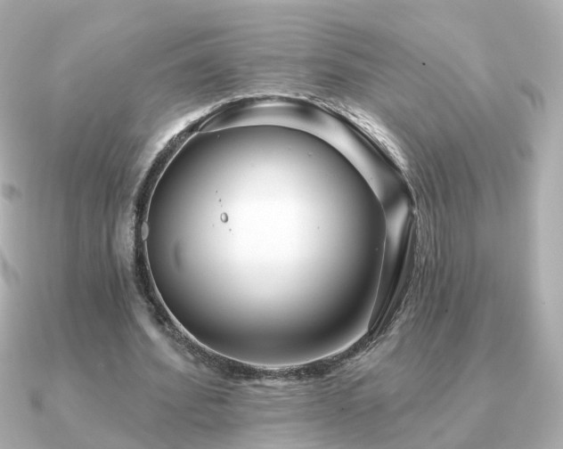 X0000091230580200708091419