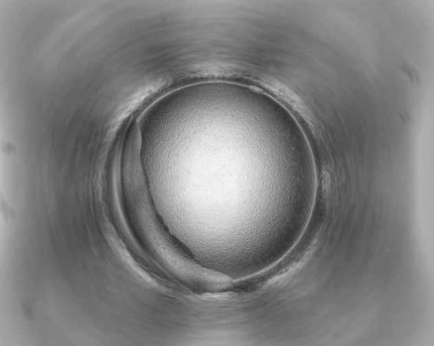 X0000091230581200708091419