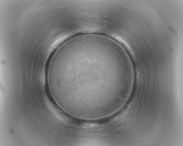 X0000091230582200708091419