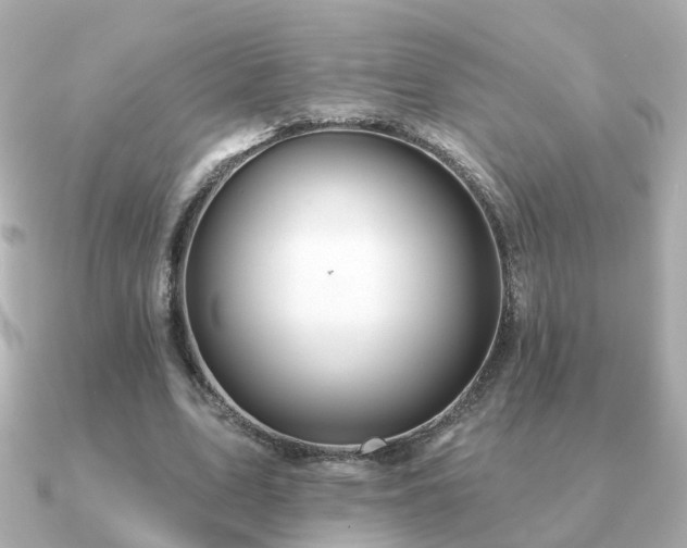X0000091230583200708091419