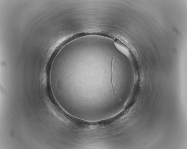 X0000091230584200708091419
