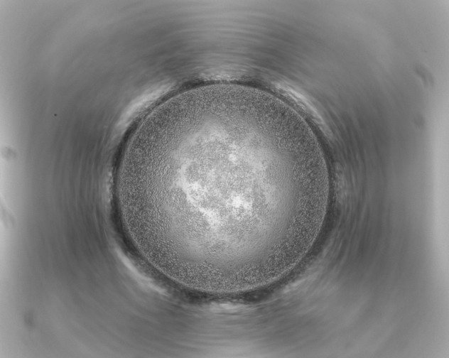 X0000091230586200708091419