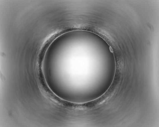 X0000091230587200708091419