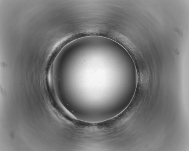 X0000091230588200708091419