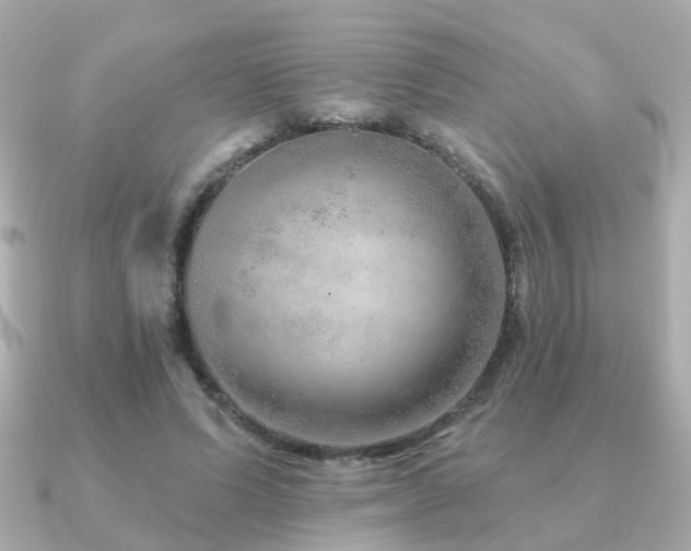 X0000091230591200708091419