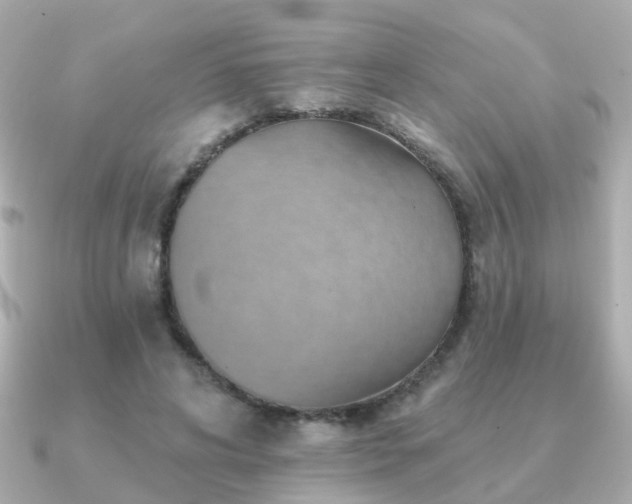 X0000091230592200708091419