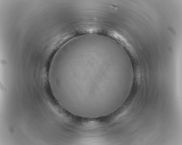 X0000091230594200708091419
