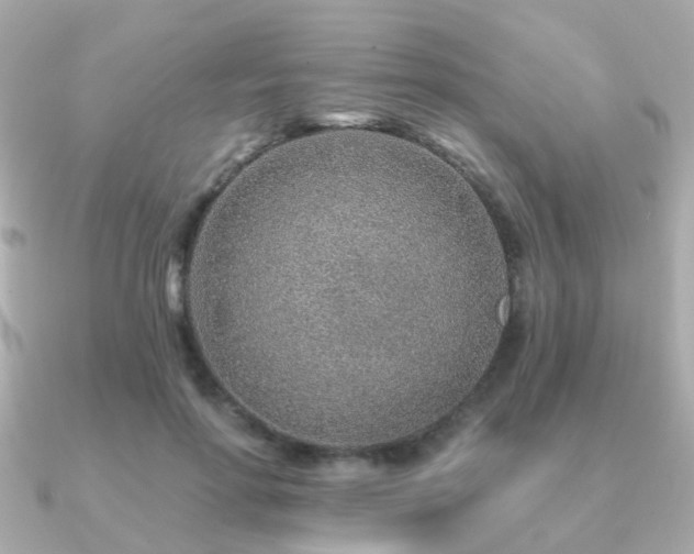 X0000091230598200708091419