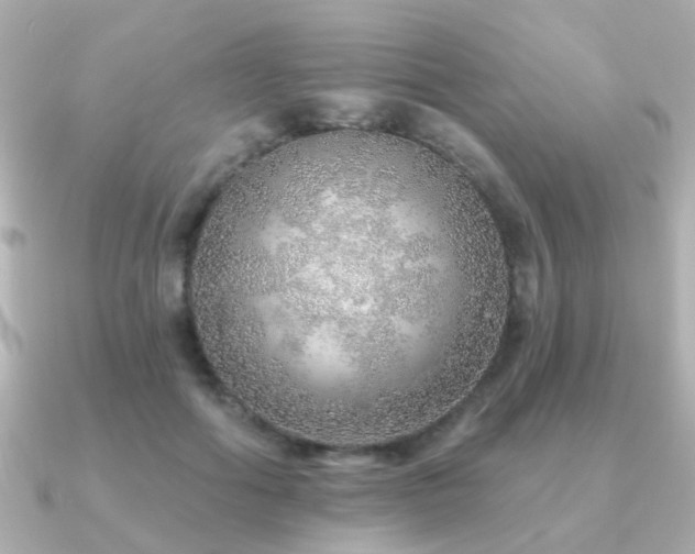 X0000091230602200708091419
