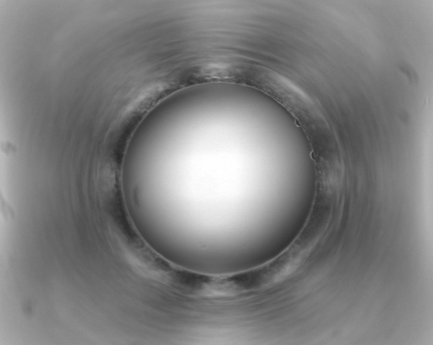 X0000091230603200708091419