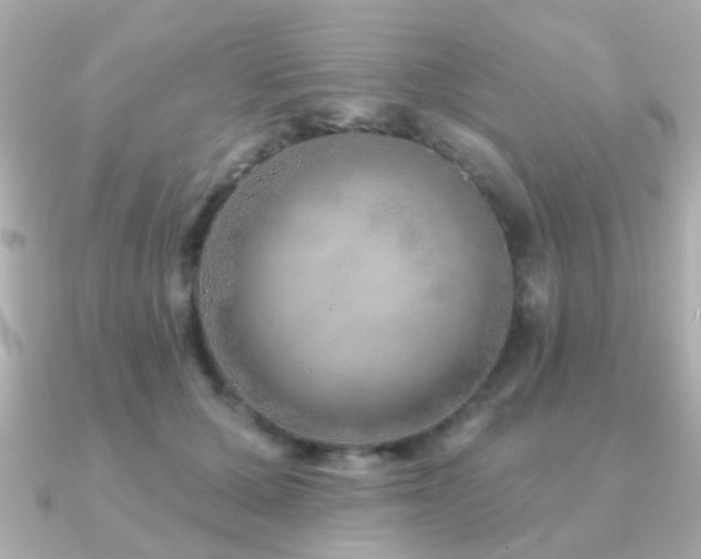 X0000091230607200708091419