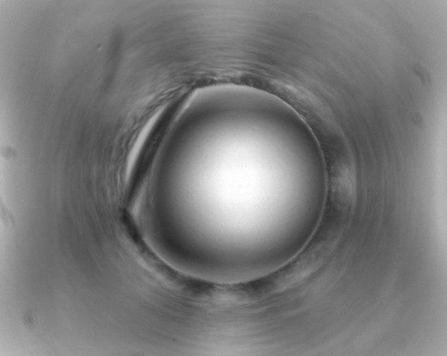 X0000091230608200708091419