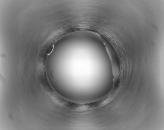 X0000091230609200708091419