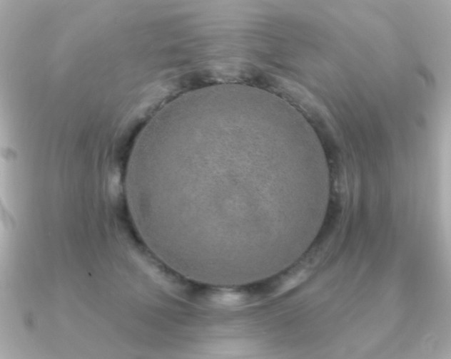 X0000091230610200708091419