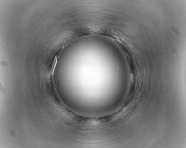 X0000091230613200708091419
