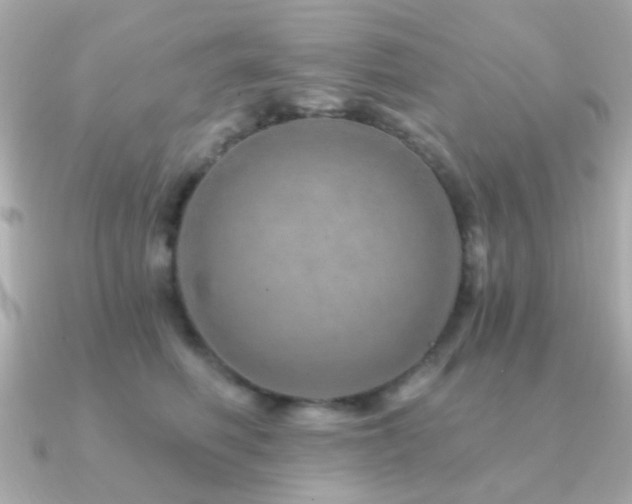 X0000091230614200708091419