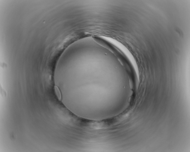 X0000091230615200708091419