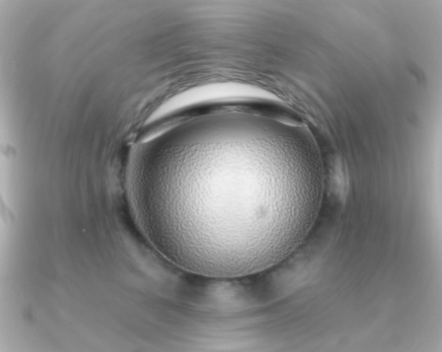 X0000091230616200708091419