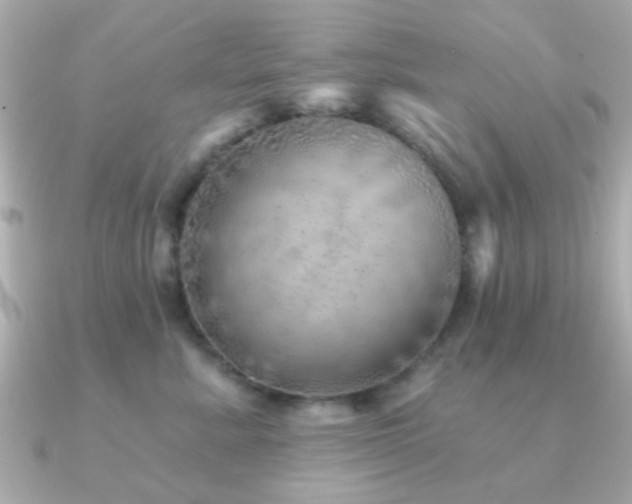 X0000091230619200708091419