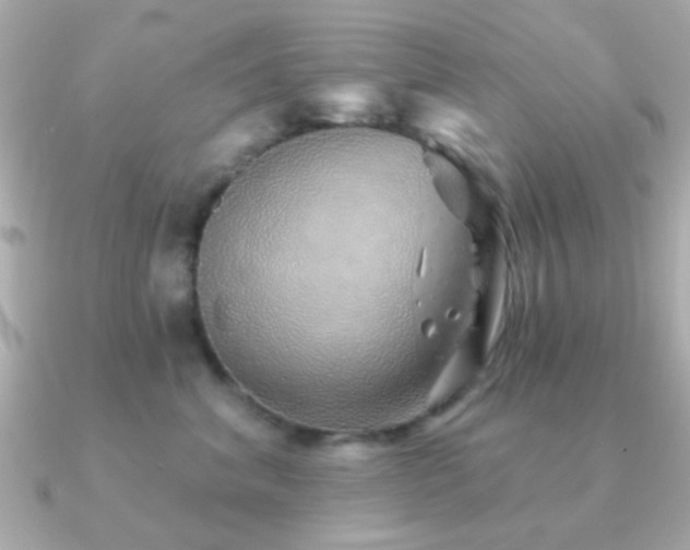 X0000091230620200708091419