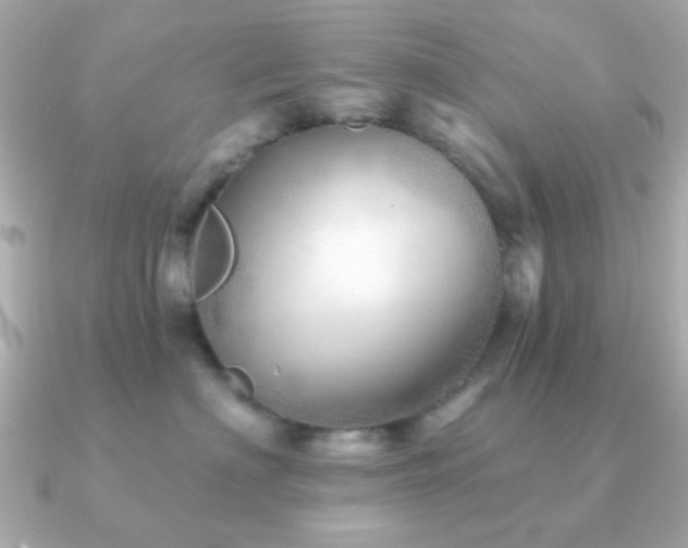 X0000091230622200708091419