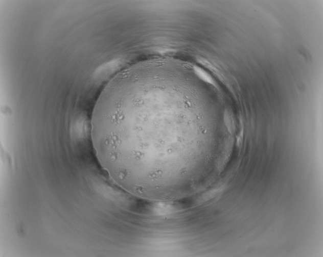 X0000091230623200708091419