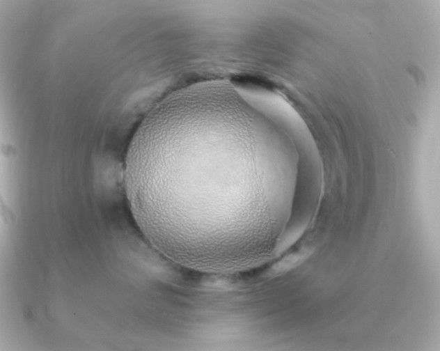 X0000091230624200708091419
