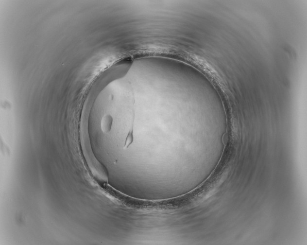 X0000091230625200708091418