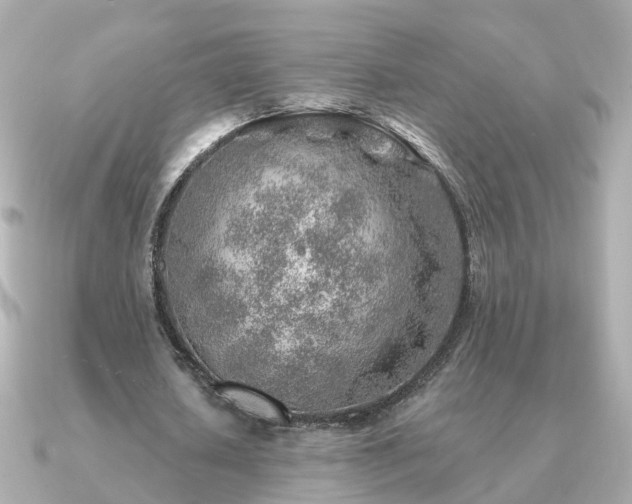 X0000091230626200708091418