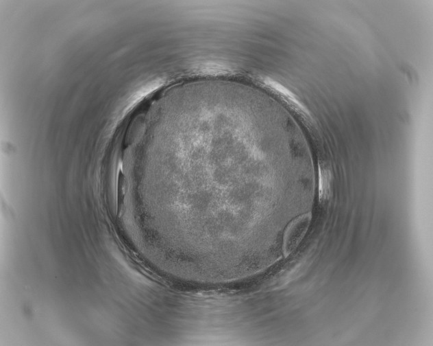 X0000091230627200708091418
