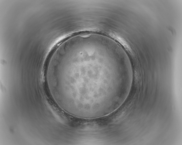X0000091230628200708091418