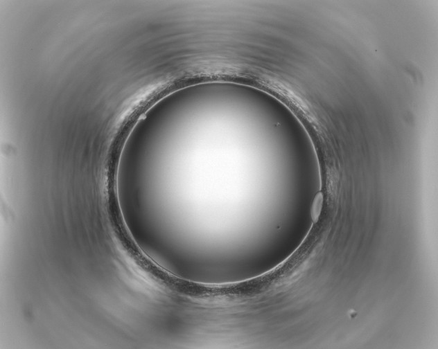 X0000091230629200708091418
