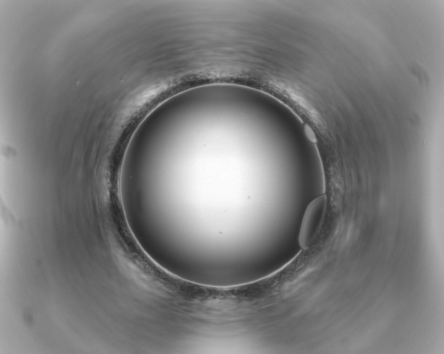 X0000091230631200708091418