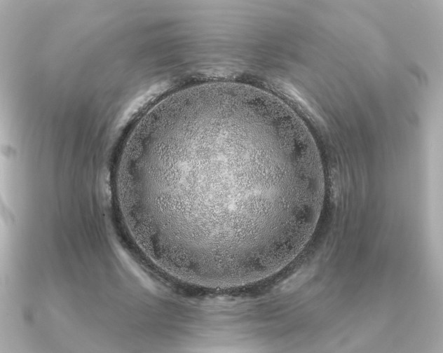 X0000091230634200708091418