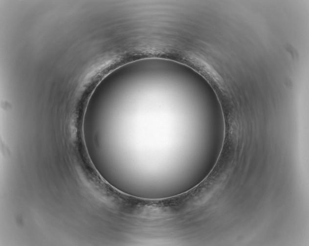 X0000091230635200708091418