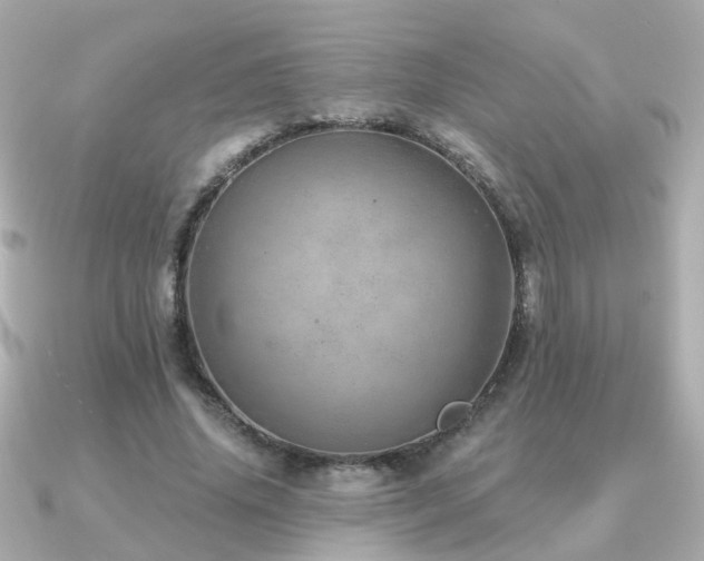X0000091230636200708091418