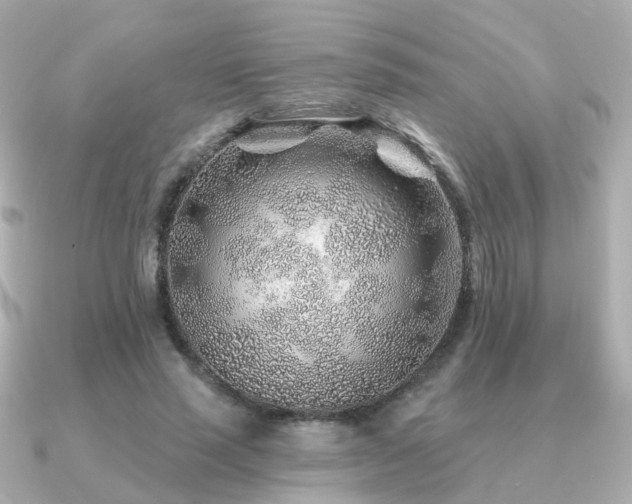 X0000091230637200708091418