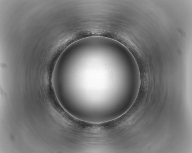 X0000091230639200708091418