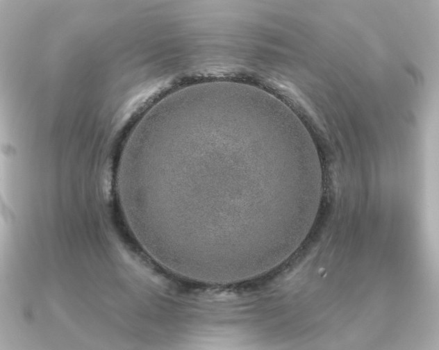 X0000091230640200708091418