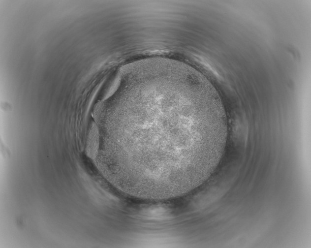 X0000091230643200708091418