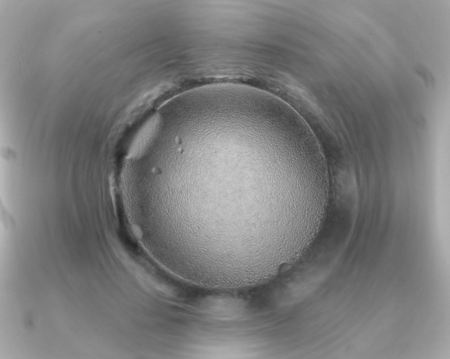 X0000091230644200708091418