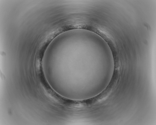 X0000091230646200708091418