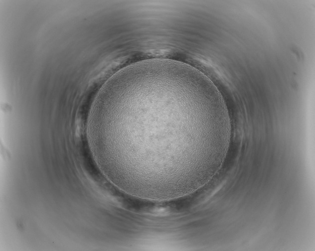 X0000091230647200708091418