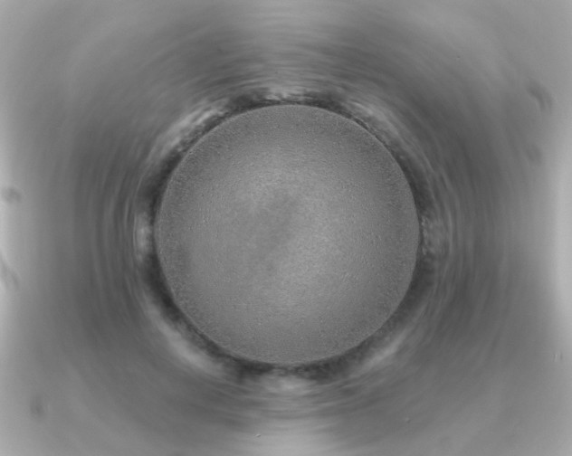 X0000091230648200708091418