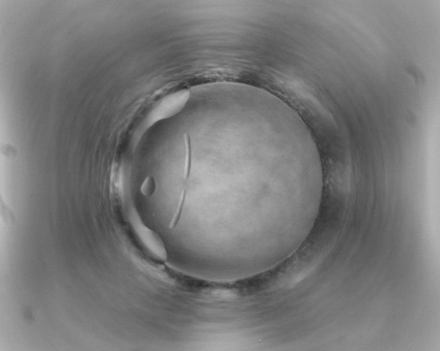 X0000091230649200708091418