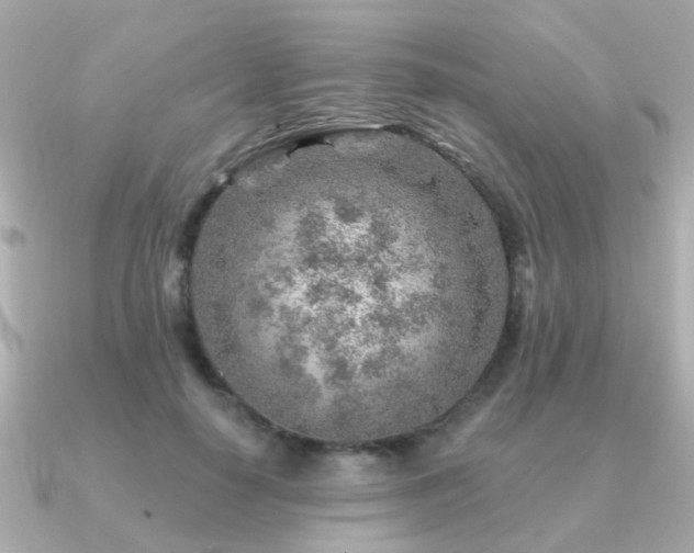 X0000091230650200708091418