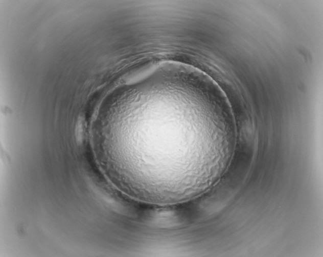 X0000091230651200708091418