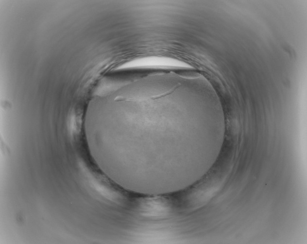 X0000091230652200708091418