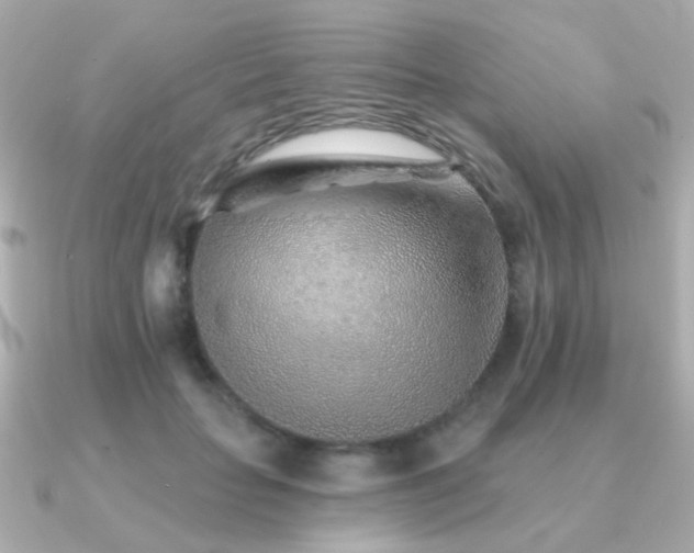 X0000091230653200708091418